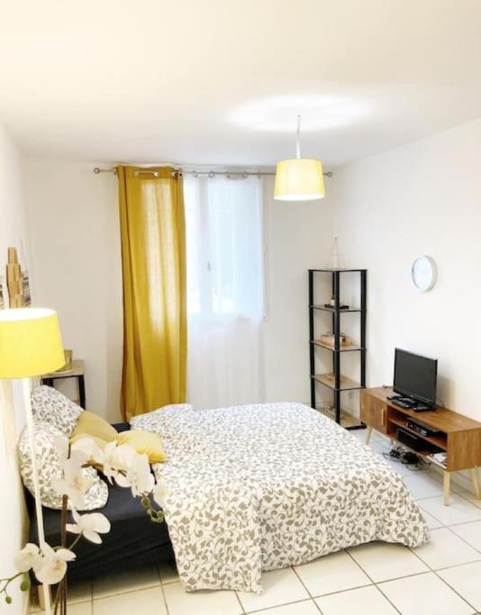 Studio A 5 Mn A Pied De La Gare Saint-Roch Montpellier Exterior photo